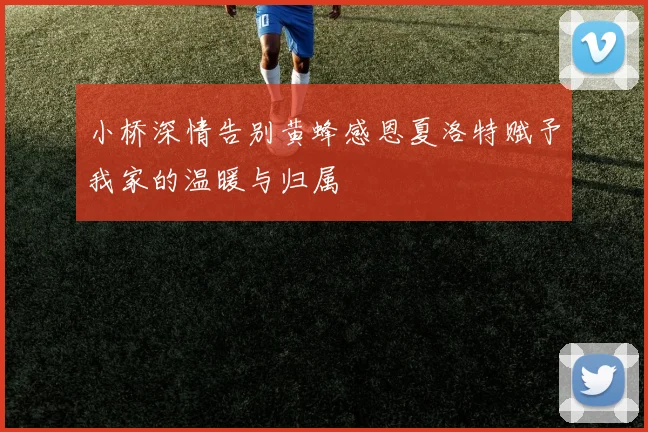 小桥深情告别黄蜂感恩夏洛特赋予我家的温暖与归属